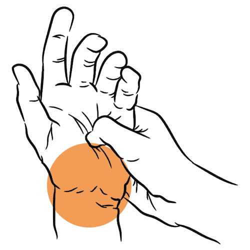 Hand & Wrist